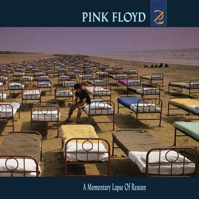 A Momentary Lapse of Reason Store Sony Music Italy 88875170962