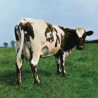 Atom Heart Mother Store Sony Music Italy 88875170882