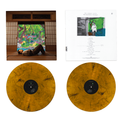 2LP - The Alexander Technique | Rex Orange County Store Sony Music Italy 19658899311