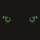 MOWGLI IL DISCO DELLA GIUNGLA                               