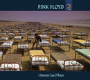 A Momentary Lapse of Reason                                 