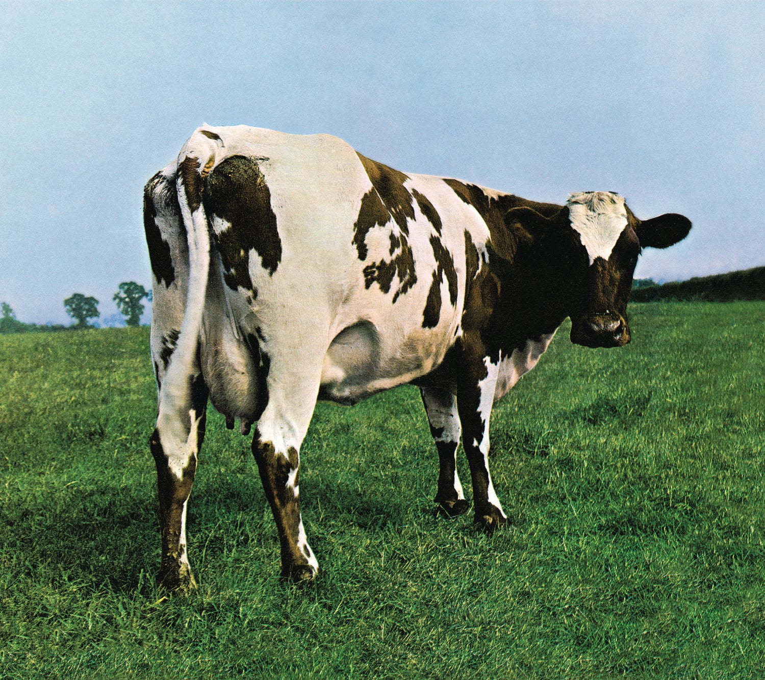 Atom Heart Mother                                           