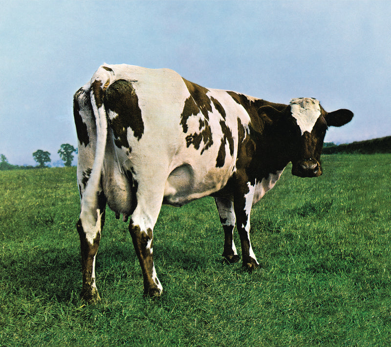 Atom Heart Mother Store Sony Music Italy 88875170882