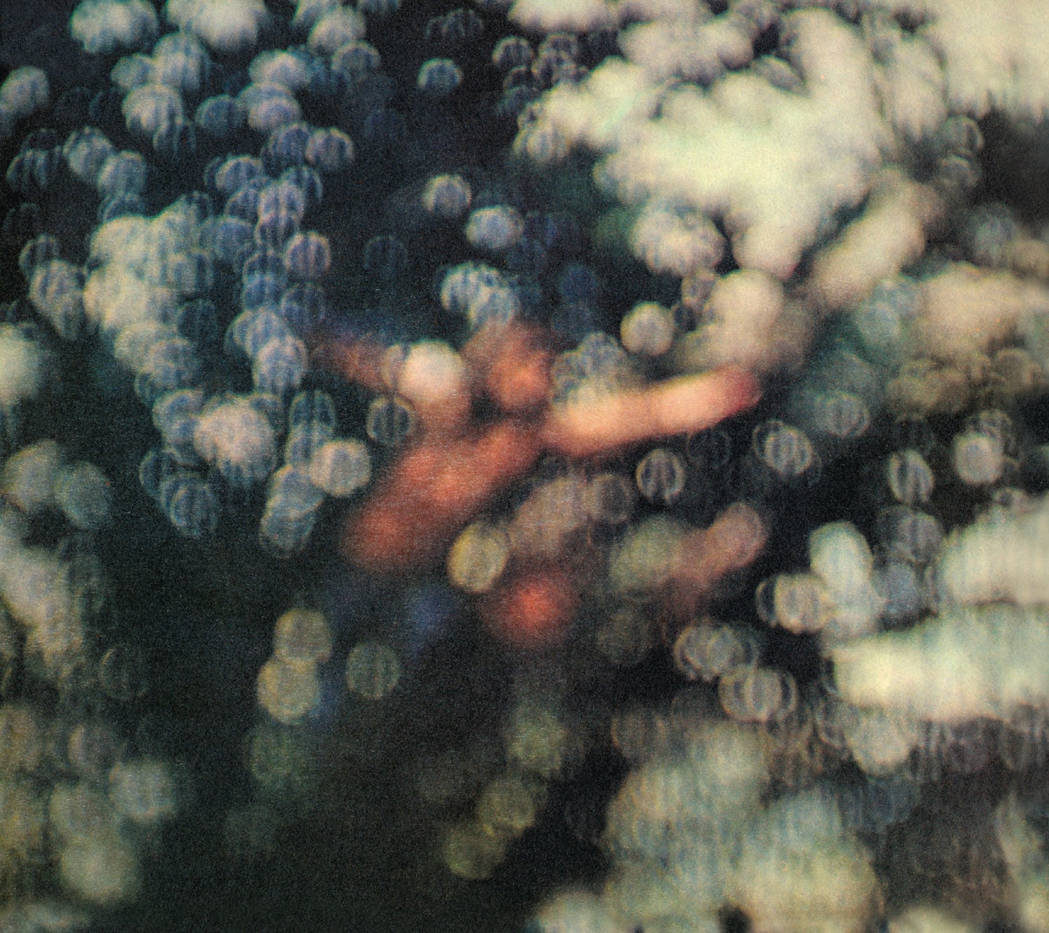Obscured by Clouds                                          