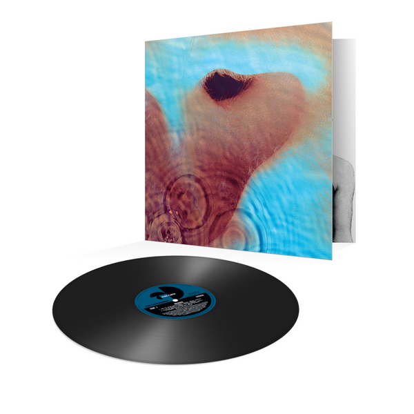 Pink Floyd, Meddle: Vinile | Sony Music Store