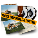 TUTTA VITA (SEMPRE) - 2LP Aut. Muccato | Olly