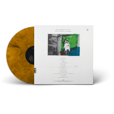 2LP - The Alexander Technique | Rex Orange County Store Sony Music Italy 19658899311