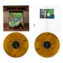 2LP - The Alexander Technique | Rex Orange County