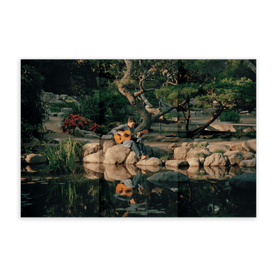 2LP - The Alexander Technique | Rex Orange County Store Sony Music Italy 19658899311