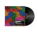 Schegge (reworks) - Vinile 10" | Giorgio Poi