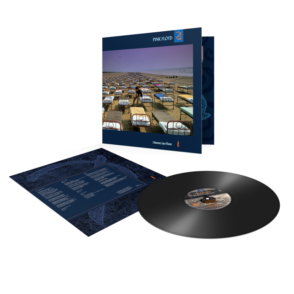 A Momentary Lapse of Reason