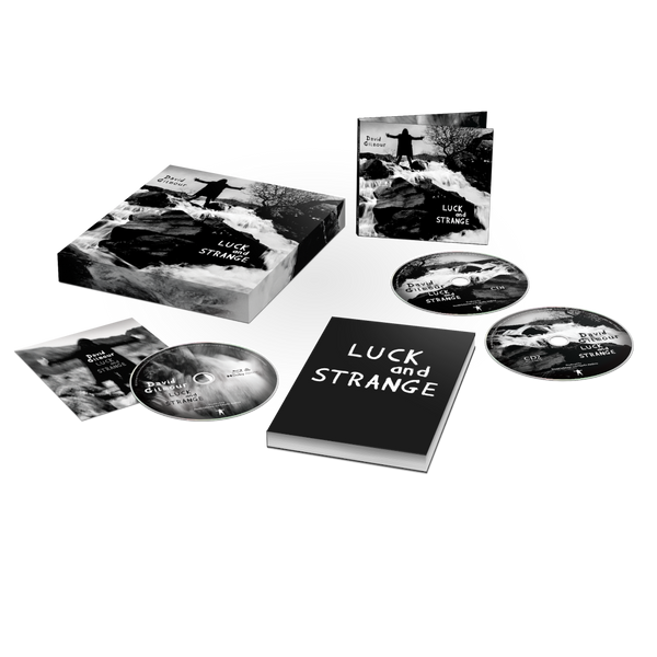 CD Deluxe Box - Luck and Strange Store Sony Music Italy  19802804642