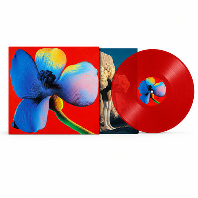 Lettera Q - LP Colorato Rosso | Nayt Store Sony Music Italy  19802844001