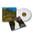 il dolce ricordo della nostra disperata gioventù - LP Aut e Num | faccianuvola