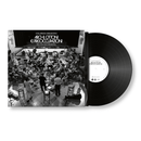 Archi, ottoni e preoccupazioni. Colapesce Dimartino dal vivo